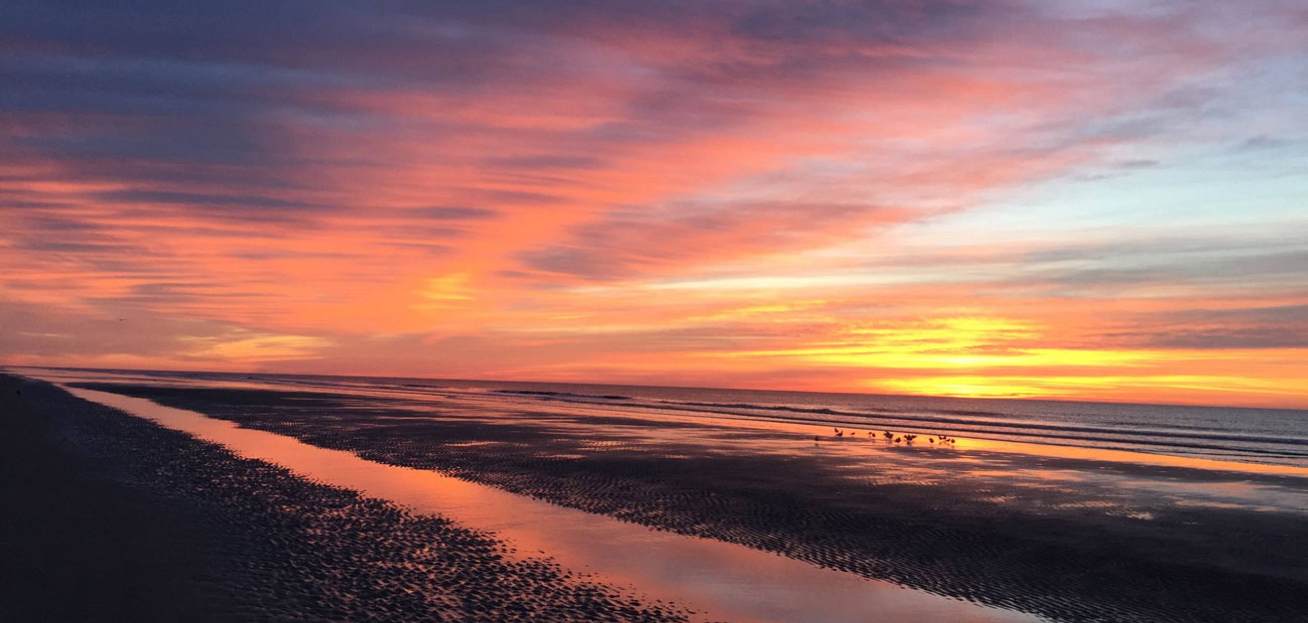 Hilton Head Seacrest Luxury Oceanfront Villas